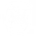 Manchester School of Soccer logo