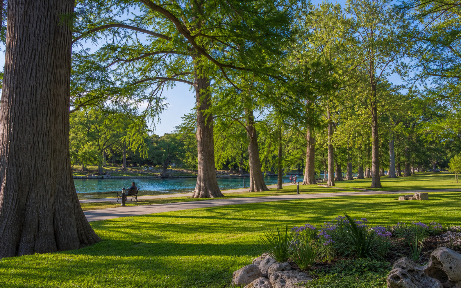 Landa Park lawn, mature trees, and spring water on a clear New Braunfels morning
